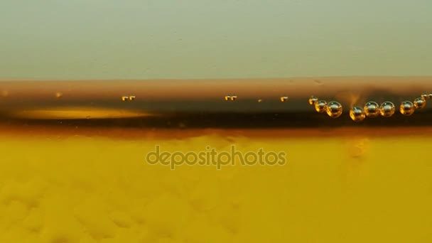 Bier abstracte gouden gele bubble background.can worden gebruikt voor achtergrond. — Stockvideo
