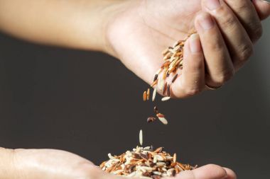 Kadının elinden düşen tahıl pirinç taneleri kadar kapatın.