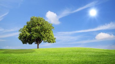 Yeşil çim ve ağaç bulutlar arka plan, yeşil kavramı ile.