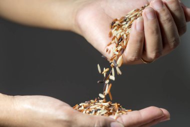 Kadının elinden düşen tahıl pirinç taneleri kadar kapatın.