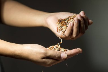 Kadının elinden düşen tahıl pirinç taneleri kadar kapatın.