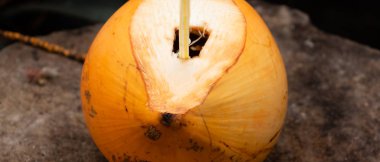 İçinde pipet olan Kral Hindistan cevizi.