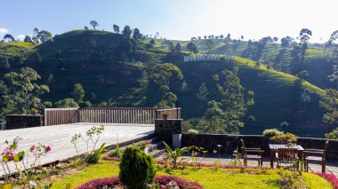 Nuwara Eliya çayının manzara fotoğrafı.