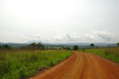 Thung Salaeng Luang Ulusal Parkı, Phitsanulok, Tayland ormanındaki toprak yol.