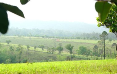 Thung Salaeng Luang Tayland yolu.