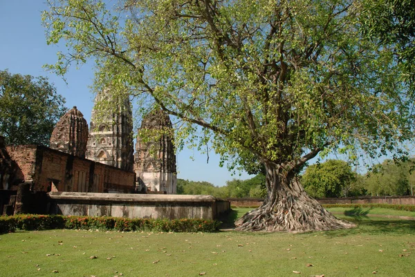 Pagodas Sukhothai Historical Park Sukhothai Have Tree Blue Sky Thailand — Stock Photo, Image