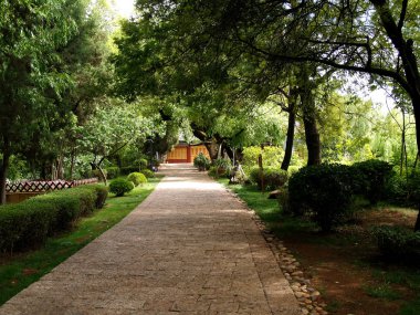 Çin 'deki ağacın arasındaki tuğla geçit..