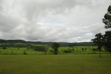 Bulutlu yeşil alan, Thung Salaeng Ulusal Parkı, Luang Phitsanulok, Tayland.