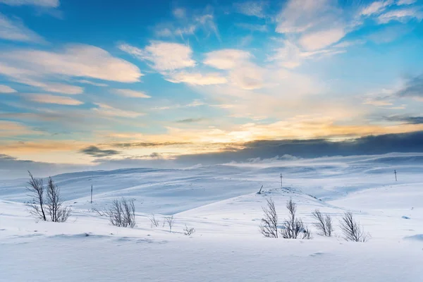 Linia Energetyczna Biegnie Przez Odległe Tereny Pokryte Śniegiem Arktyce — Zdjęcie stockowe