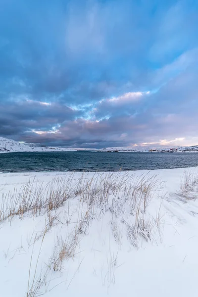 冬季的北极冻土带 位于北极圈上方俄罗斯科拉半岛巴伦支海沿岸的海洋草甸 — 图库照片