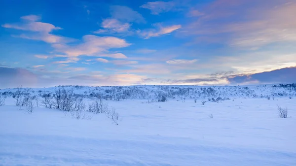 Снег Покрыл Пейзаж Нетронутой Природы Северу Полярного Круга Красивым Небом — стоковое фото