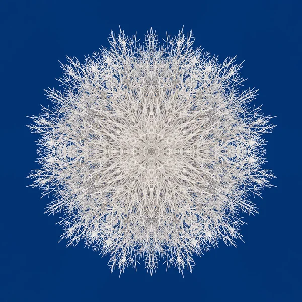 Kaleidoscope effect of frosted branches on a blue sky makes it look like a big snowflake