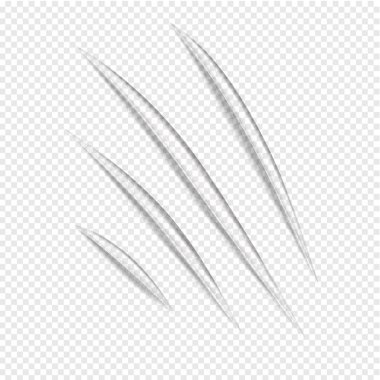 Pençe vecror çizikler