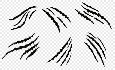 Pençe vecror çizikler