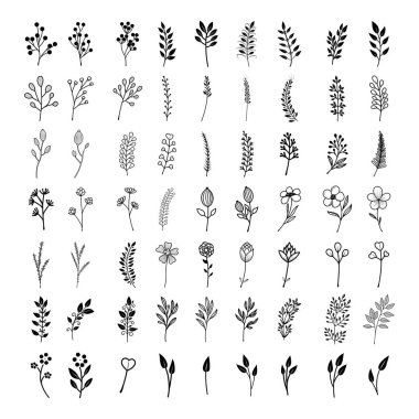 Çiçek güzel bir koleksiyon