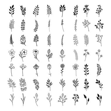 Çiçek güzel bir koleksiyon