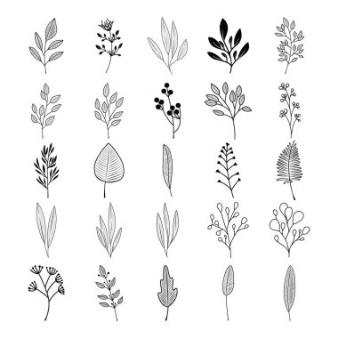 Çiçek güzel bir koleksiyon