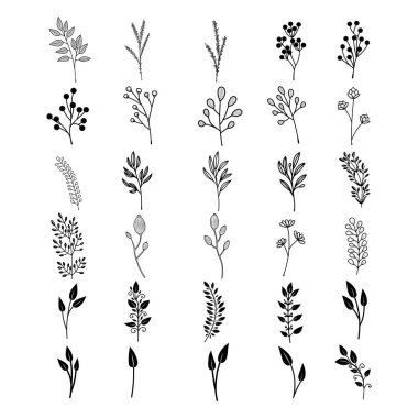 Çiçek güzel bir koleksiyon