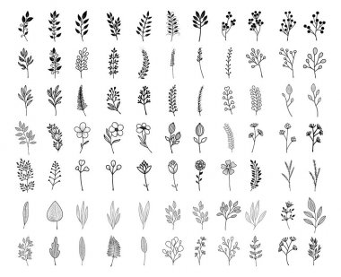 Çiçek güzel bir koleksiyon