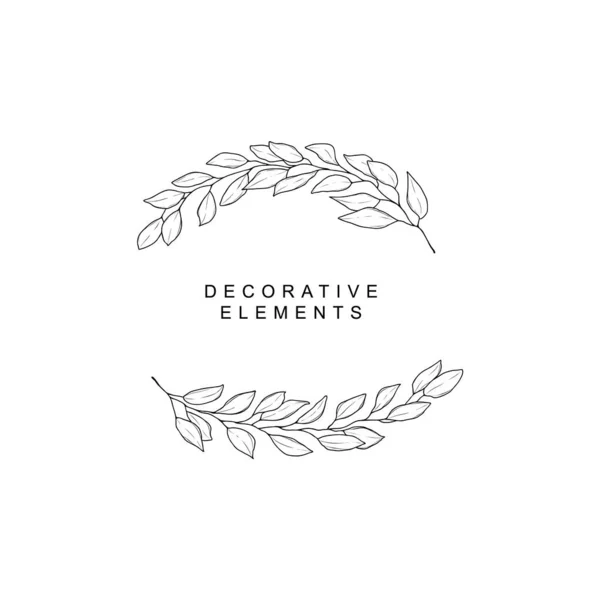 Set of floral design elements. — Stock Vector