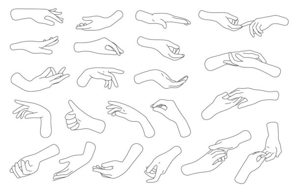 Collection of hands and fingers.