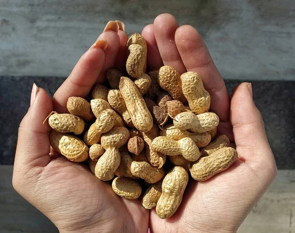 Close up photo of roasted peanuts on hand