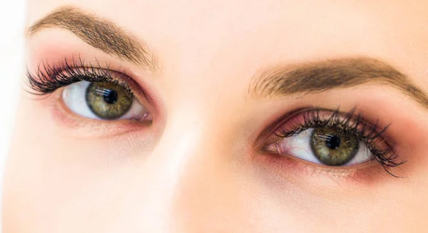 Close-up de sobrancelhas e olhos em um fundo leve — Fotografia de Stock