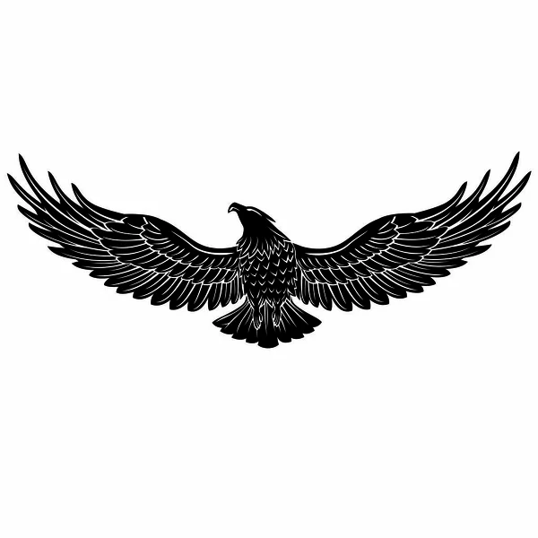 Seamless high quality hawk eagle falcon bird black and white vector — Stock Vector