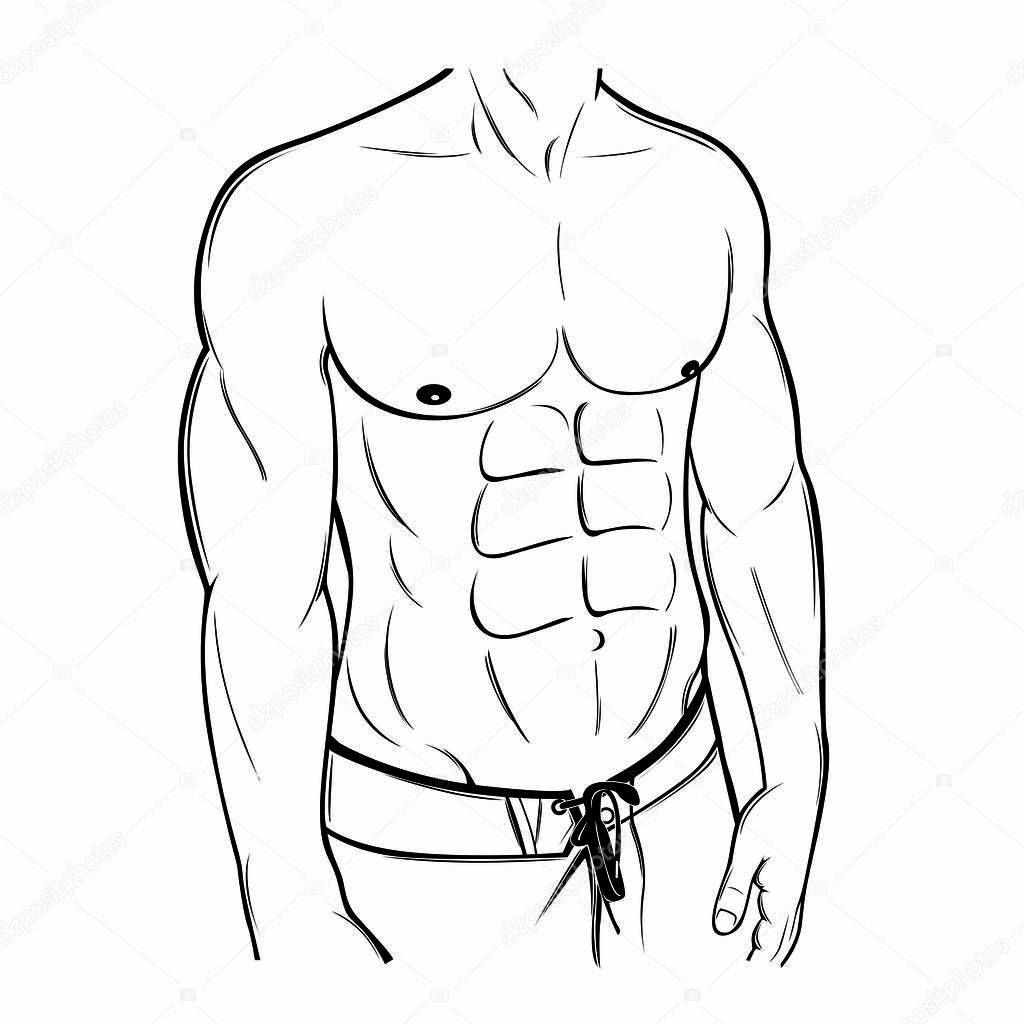 Muscular six pack male body line art illustration