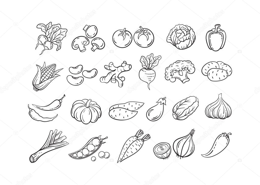 Hand drawn black line vegetable icon vector set
