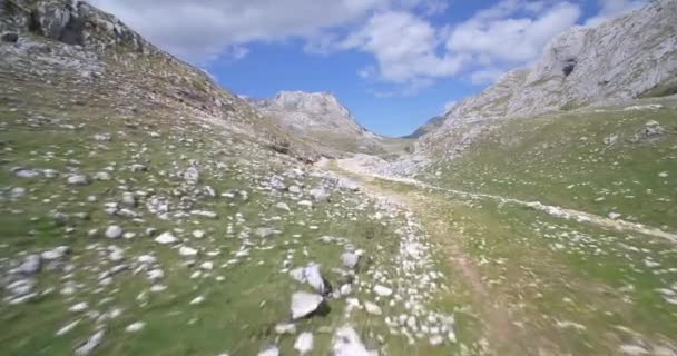 Aérea, Parque Nacional Durmitor, Montenegro - Material nativo, directamente de la leva — Vídeos de Stock