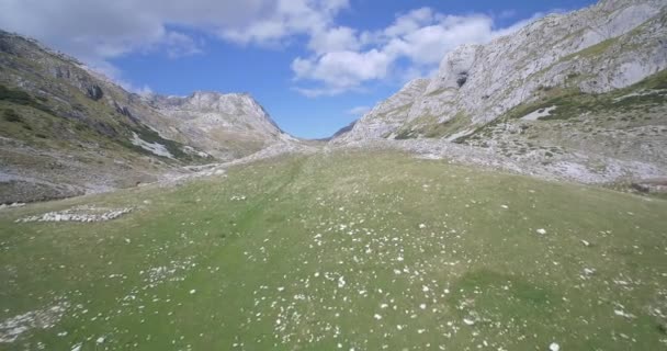 Aérea, Parque Nacional Durmitor, Montenegro - Material nativo, directamente de la leva — Vídeo de stock