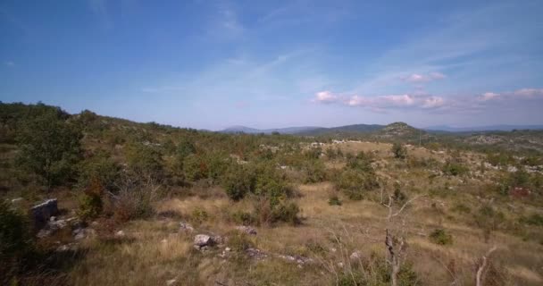 Antenne, Ackerland, Bäume und Sträucher, Montenegro - abgestufte und stabilisierte Version — Stockvideo