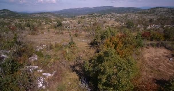 Aérea, tierras de cultivo, árboles y arbustos, Montenegro - Versión graduada y estabilizada — Vídeos de Stock