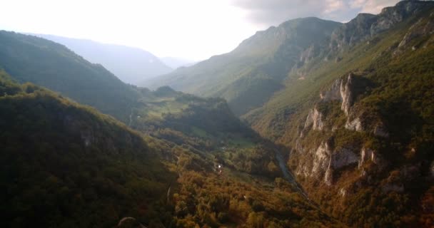 Aerial, Tara River Canyon, Montenegro - Graded and stabilized version — ストック動画