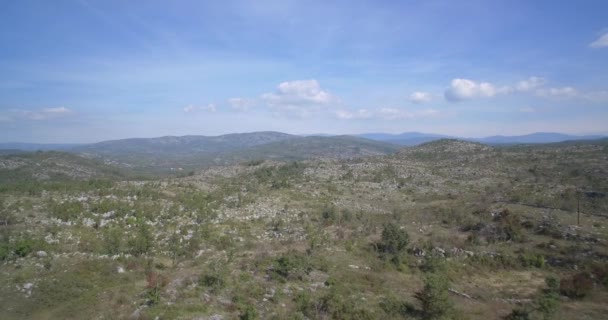 Aérea, tierras de cultivo, árboles y arbustos, Montenegro - Material nativo, directamente de la leva — Vídeo de stock