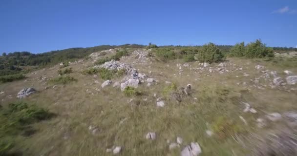 Antény, zemědělská půda, Nikovici, Crna Gora, Černá Hora. Nativní materiál, jako vystřižená z vačky. — Stock video