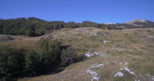 Luchtfoto, mooie Durmitor landschappen, Montenegro. Native materiaal, direct uit de cam. — Stockvideo
