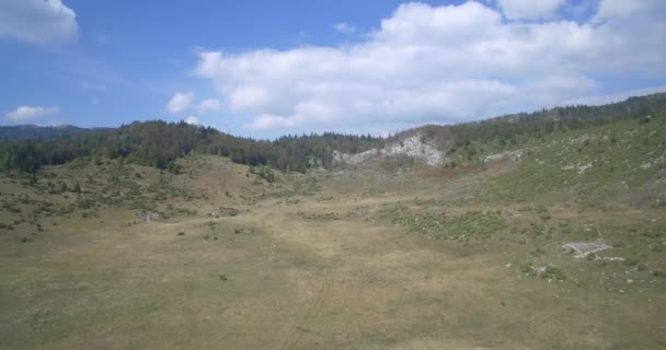 Εναέρια, καλλιεργήσιμα εδάφη στο Εθνικό Πάρκο Ντουρμίτορ, Montenegro.Native υλικό, βγαλμένη κατευθείαν από το έκκεντρο. — Αρχείο Βίντεο