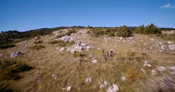 Antenn, jordbruksmark, Nikovici, Crna Gora, Montenegro. Graderade och stabiliserad version. — Stockvideo