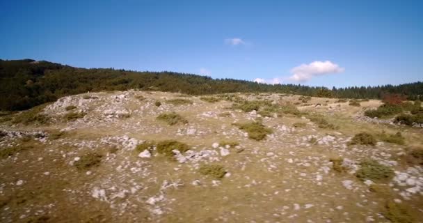 Aerial, Farmland, Nikovici, Crna Gora, Montenegro. Versione graduata e stabilizzata . — Video Stock