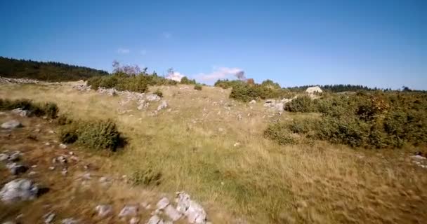 Antenn, jordbruksmark, Nikovici, Crna Gora, Montenegro. Graderade och stabiliserad version. — Stockvideo