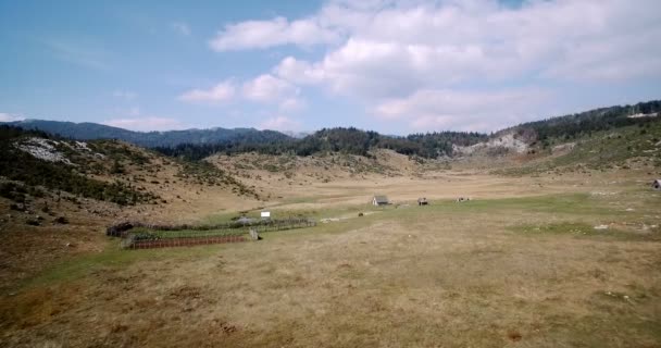 Antena, pola uprawne w Parku Narodowego Durmitor, Montenegro.Graded i stabilizowane wersji. — Wideo stockowe