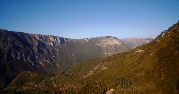 Aerial, Mountainous Forest, Autumn, Montenegro - Graded and stabilized version. — Stock Video