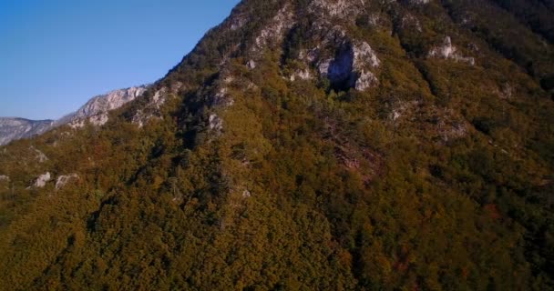 Antenne, bergachtig bos, herfst, Montenegro - Graded en gestabiliseerde versie. — Stockvideo