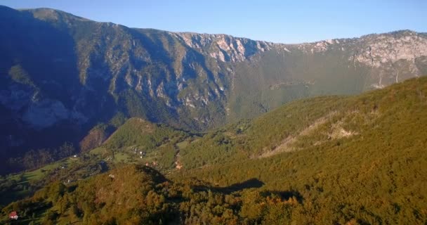 Antenne, Bergwald, Herbst, Montenegro - abgestufte und stabilisierte Version. — Stockvideo