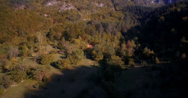 Aerial, Mountainous Forest, Autumn, Montenegro - Graded and stabilized version. — Stock Video