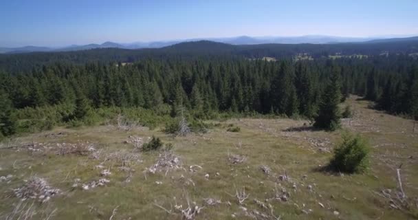 Antenn, Curevac Canyon, Montenegro — Stockvideo