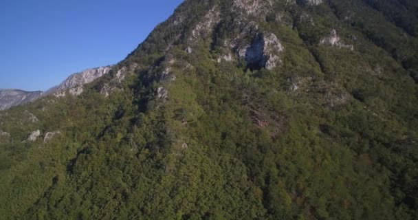Aerial, Mountainous Forest, Autumn, Montenegro - Родной материал, прямо из камеры . — стоковое видео
