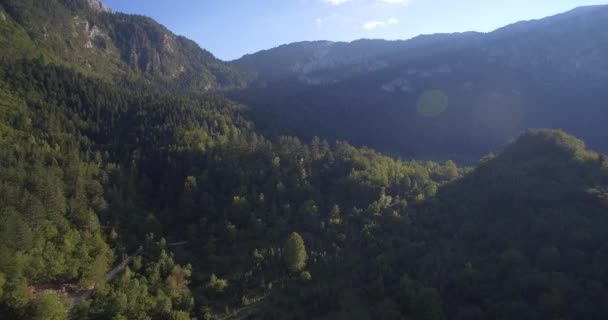 Antenne, Bergwald, Herbst, Montenegro - heimisches Material, direkt aus der Kamera. — Stockvideo